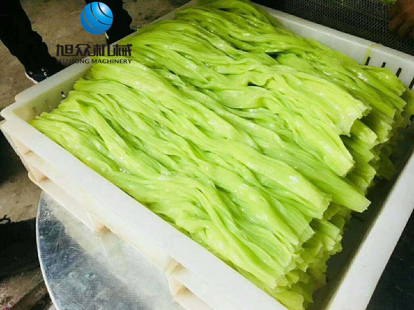 绿皮河粉-2_副本