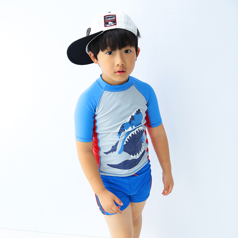Cartoon split cute shark with zipper