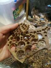 印度老山檀香碎料  工艺碎料制香车珠原料