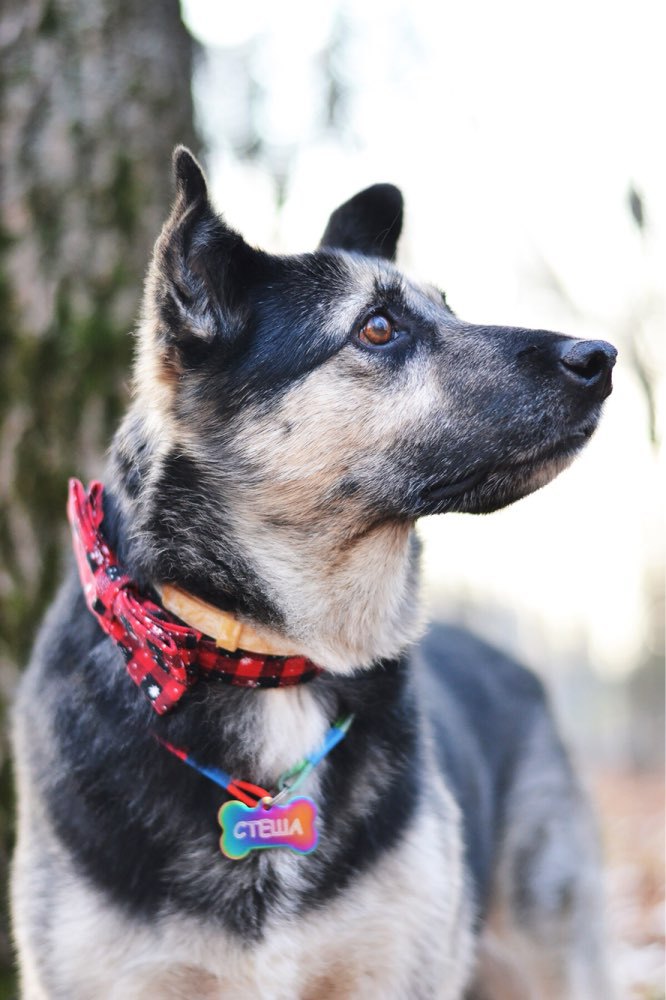 UTB8JwCopSnEXKJk43Ubq6zLppXaj