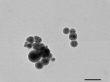 纳米二氧化锡，50nm 超细二氧化锡   SnO2