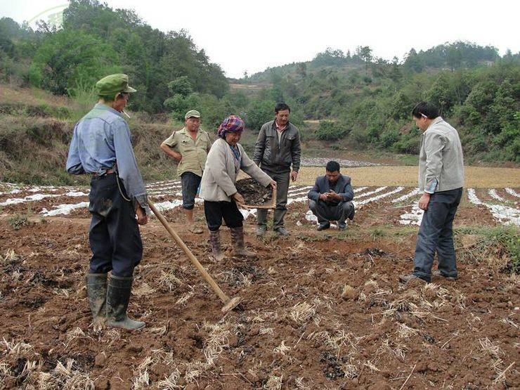 rBEQWFE4q88IAAAAAASrxFiw0NkAAB