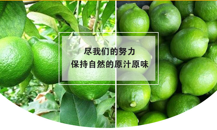 青柠檬详情页9_02