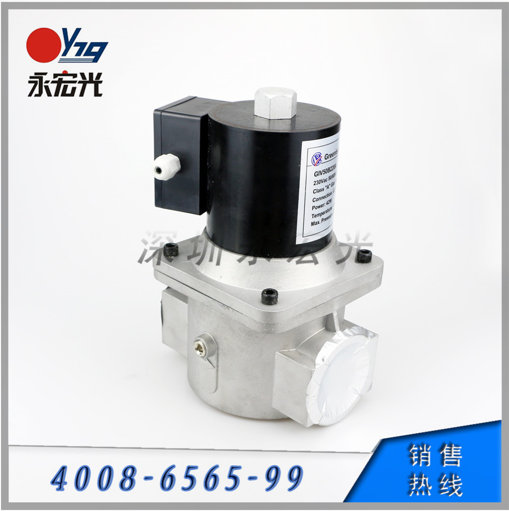 GIV50B220A电磁阀,DN50二寸燃气电磁阀,润欧