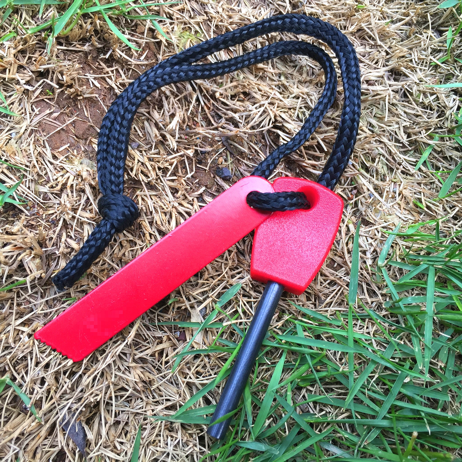 1492904859_IMG_1908_看图王