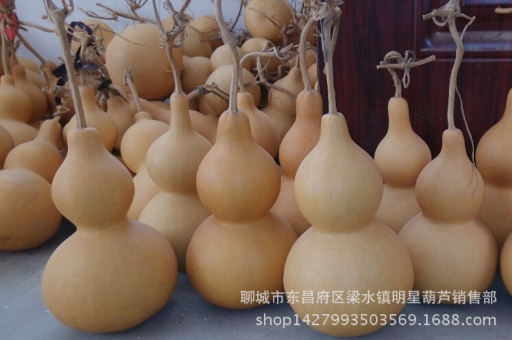 8I6K1PP$9W6MAERQYZ`2TBB