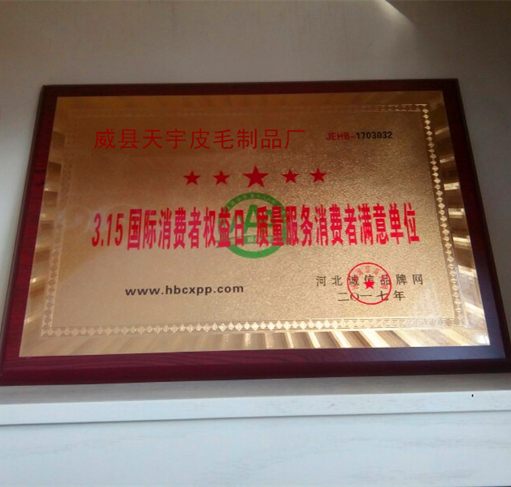 Gilet femme AUTRUCHE ITALIENNE en Gilet de fourrure - Ref 3318414 Image 39