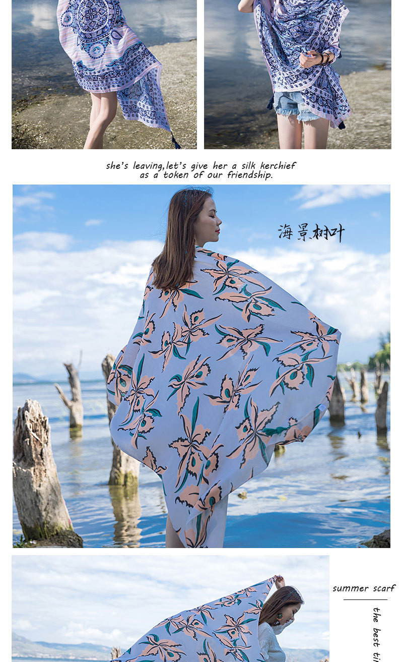 新款模板多款_19