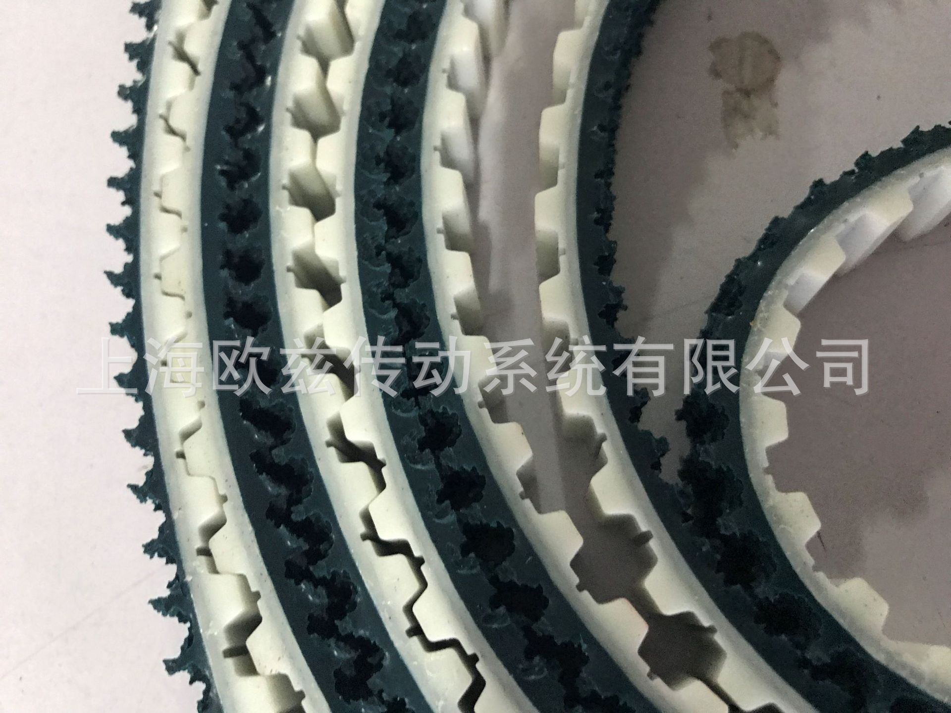 同步带草纹带T10IMG_2326