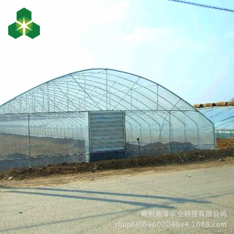 厂家直供 热镀锌钢管大棚 水果大棚  草莓大棚 温室大棚建设