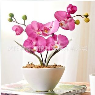 �m���N�Ӻ����m�N���̨�����҃Ȼ��N���ļ����Nֲ��N��30��