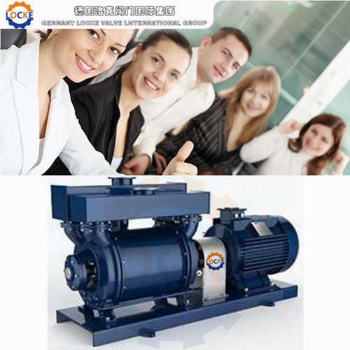 进口水循环真空泵