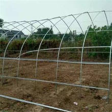 鎮江熱賣農用大棚管  優質蔬菜花卉養殖鋼架  簡易單棟溫室管
