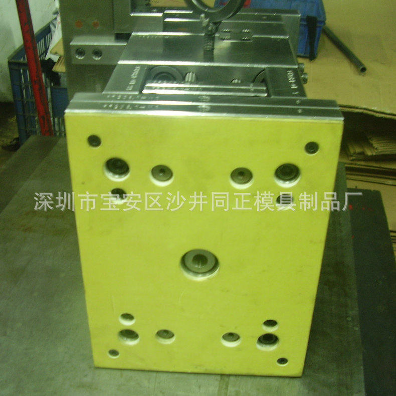 P6050005