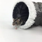 吉仔仔鼯鼠玩具 鸟窝隧道龙猫刺猬仓鼠蜘蛛透气春秋小宠窝 单通道