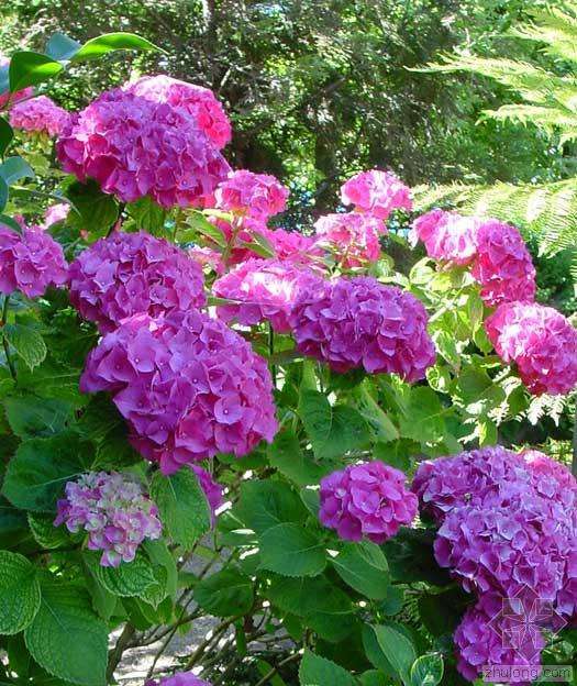 f7df96ba2414e018a98467a9e41174