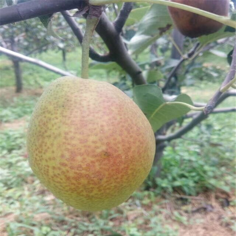 5A9B8CDB10E1731FA0030E4691E4D3