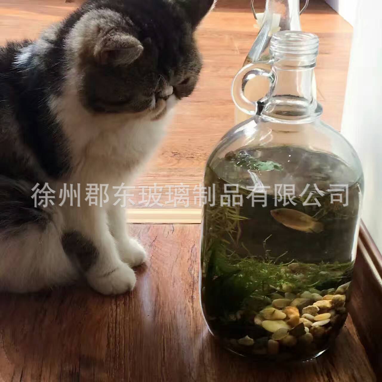 把手加州酒瓶 3斤2斤梅酒瓶玻璃 果酒瓶 各种容量耳朵泡酒瓶