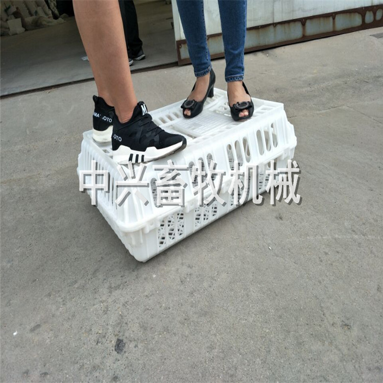 淘汰鸡笼  毛鸡运输笼 成鸡周转箱厂家批发
