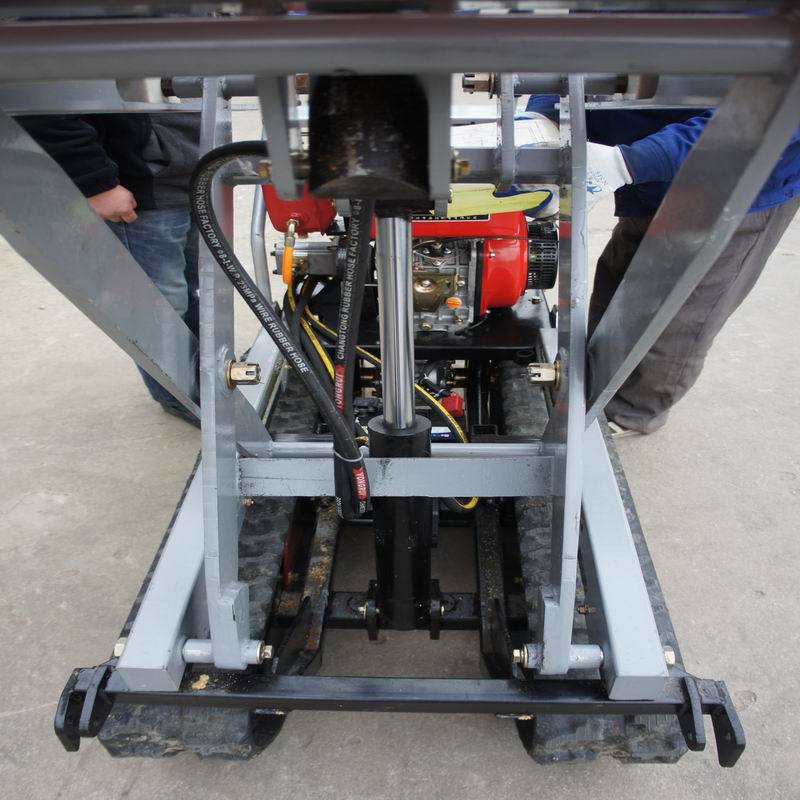 调整大小 旋转 DSC08277