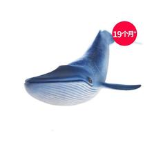 正品 Schleich德国思乐玩具 仿真海洋动物模型 海洋动物