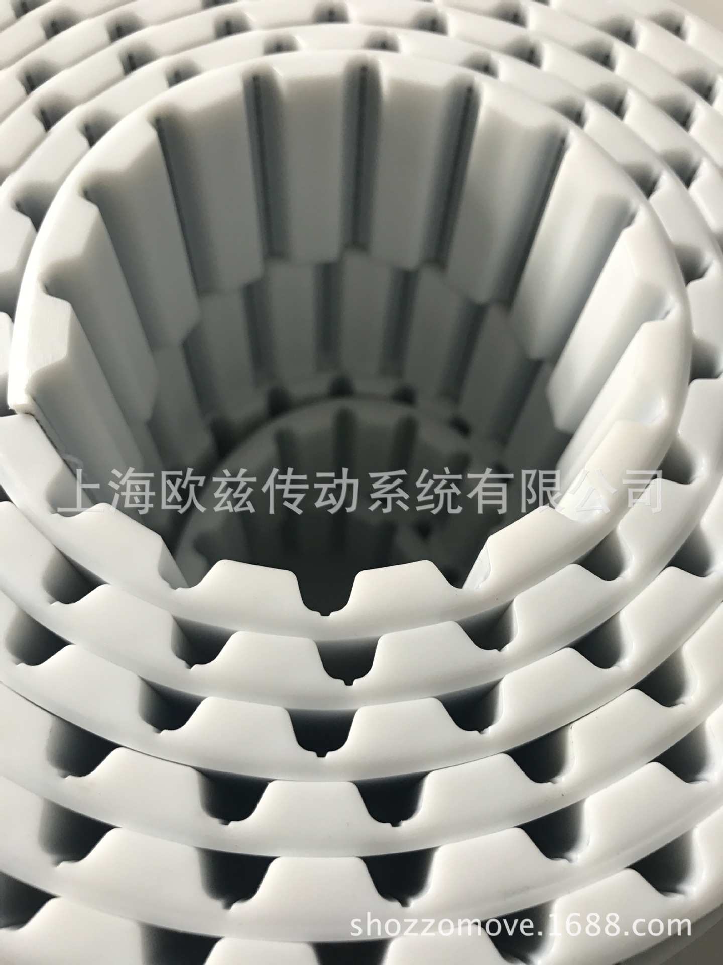 IMG_2248