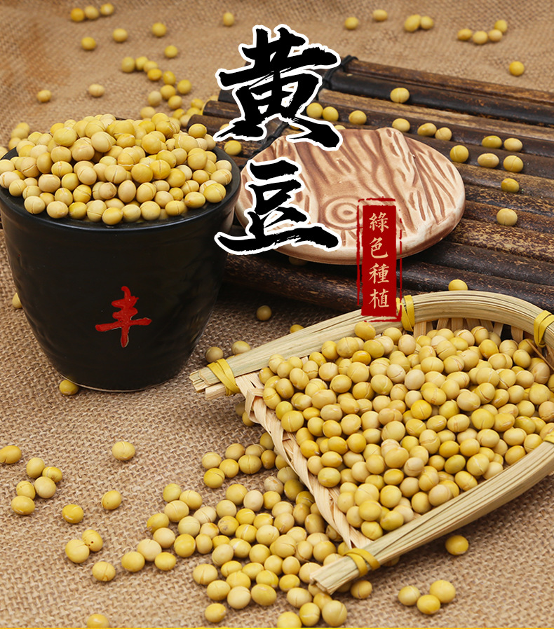 Roasted Soybeans Huang Dou 大豆 50 lb Bulk Bag for Homemade Soymilk Farm Grown Low Temperature Baked key features