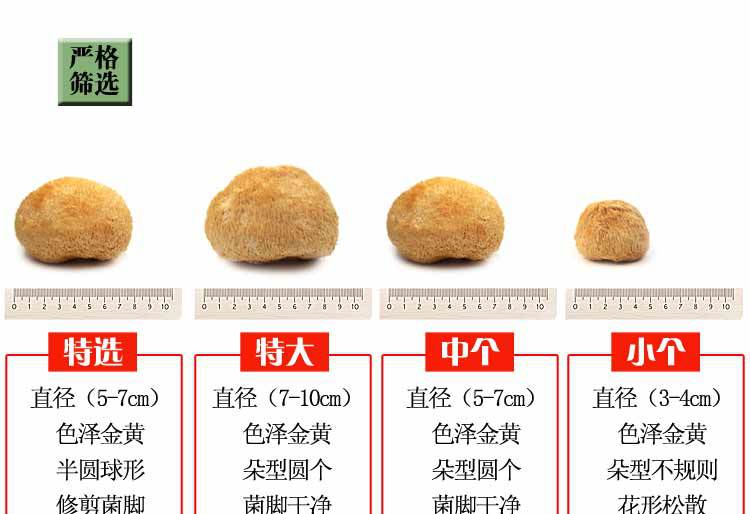 猴头菇-详情图al_04