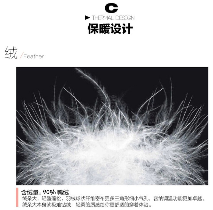 3305635192_1202241850