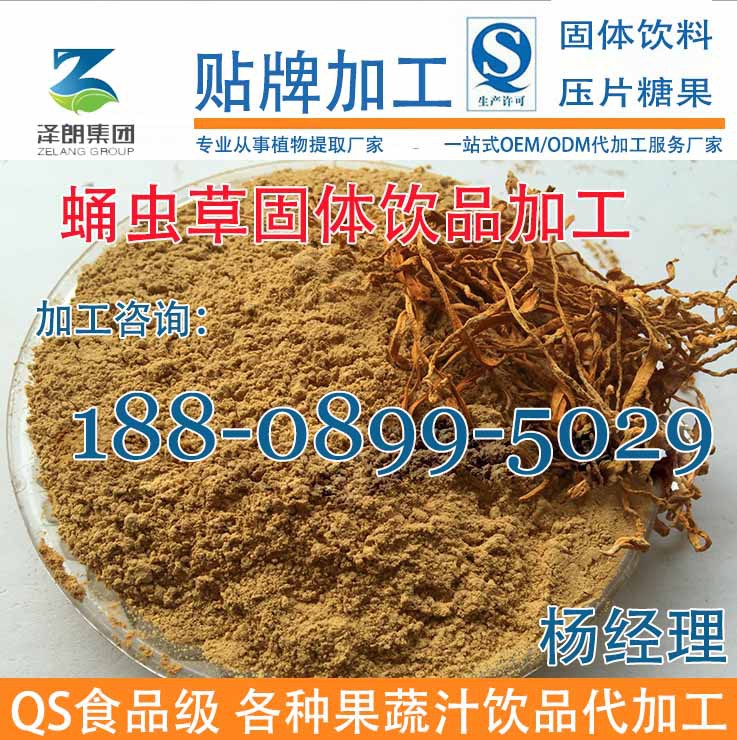 蛹虫草固体饮品