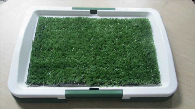 5[2GFX%FEX086HOGWST1@DV