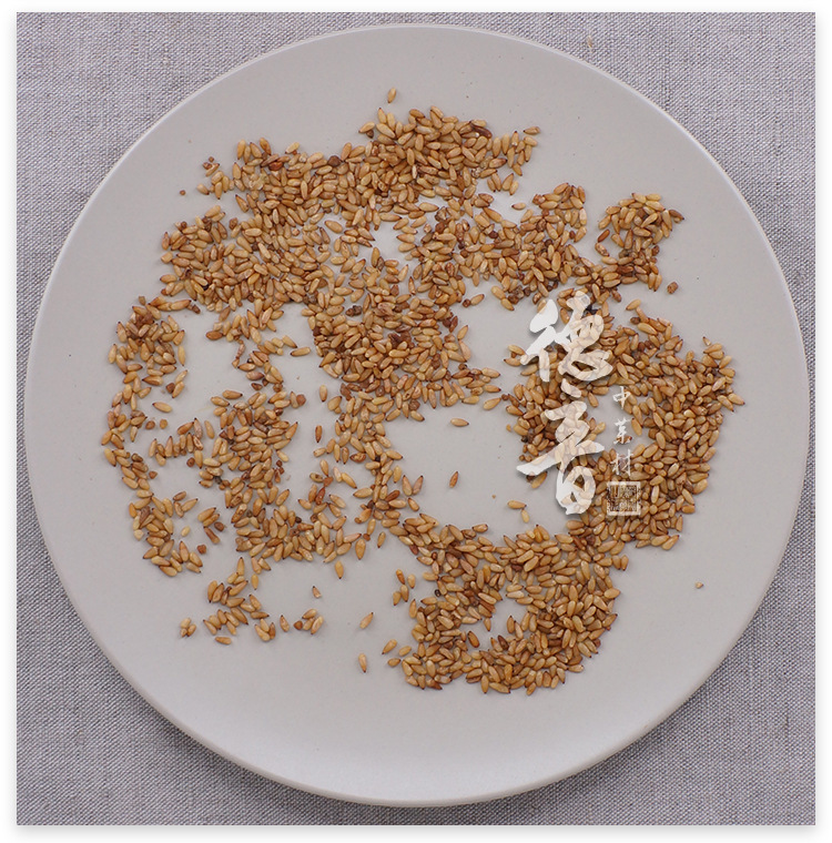 Platycladus Seed Bi Zi Ren 500g Dried Platycladus orientalis Seed for Decoction and Culinary Use quality and texture