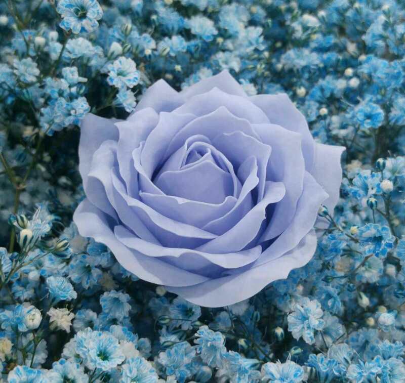 微信图片_20170504104437