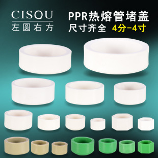 Thick PPR water pipe accessories hot melt pipe cap 20/25/32/40/63/75/110 block 4/6 tube cap