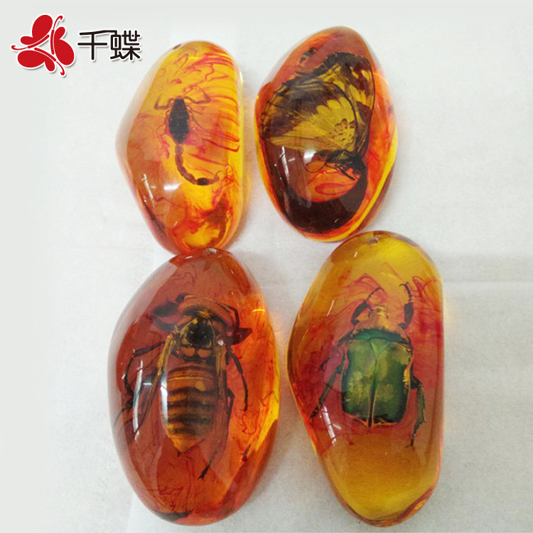 虫珀5