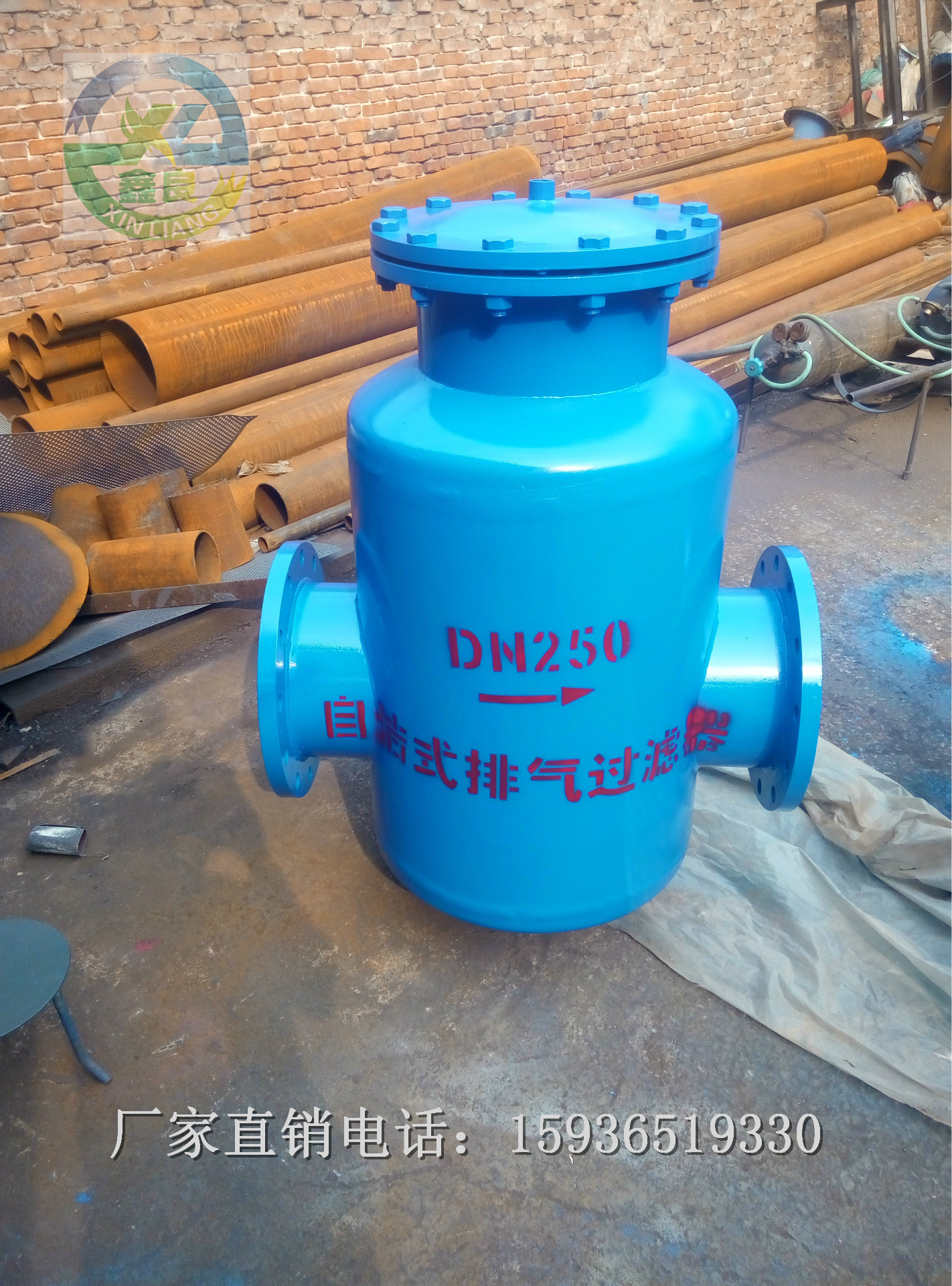 自洁式排气过滤器 精密过滤器 GCQ 排污器 过滤器 DN250 DN300