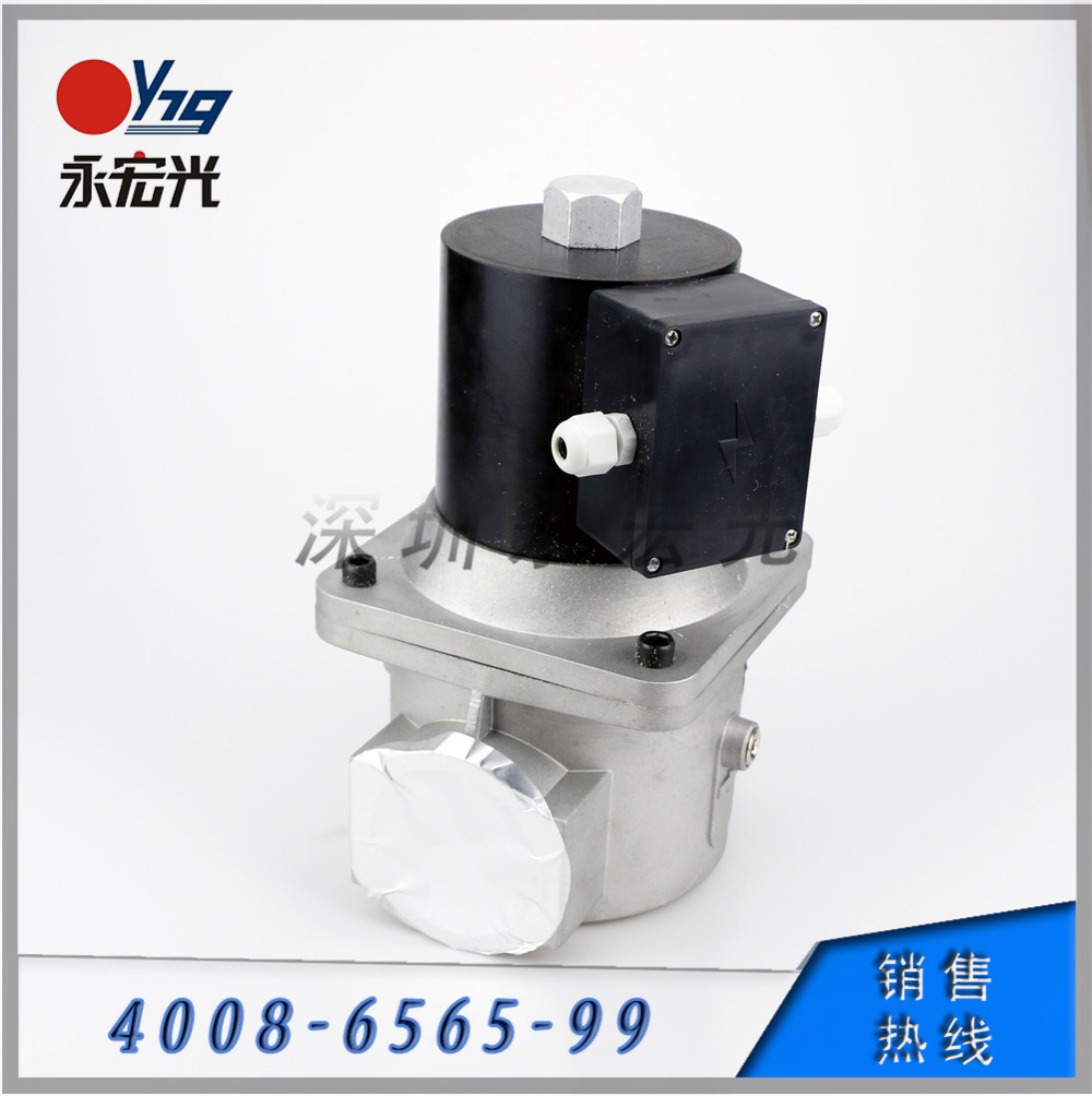 燃气电磁阀,二寸电磁阀GIV50B220A电磁阀