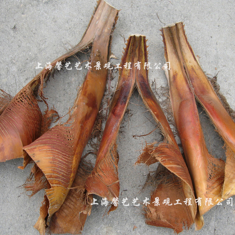 人造椰子树皮仿真棕榈树人字皮厂家天然树皮造景材料包管道景观树|ru