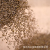 Wholesale thermal sale of agricultural products Black millet grain miscellaneous grain boiled porridge one piece of 500g and five pounds of free shipping