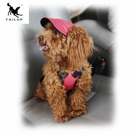 Amazon Pet Supplies quần áo chó phụ kiện bóng chày Benn hat con vênh váo cung cấp trực tiếp qua biên giới Trang phục chó