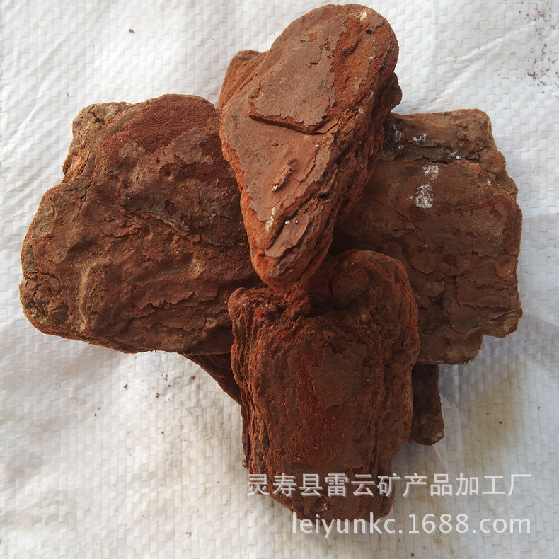 Pine Bark Shijiazhuang Botany Material Science gardens bark After polish