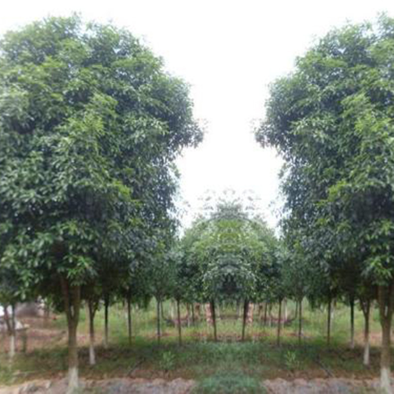 u=1890766177,436897634&fm=