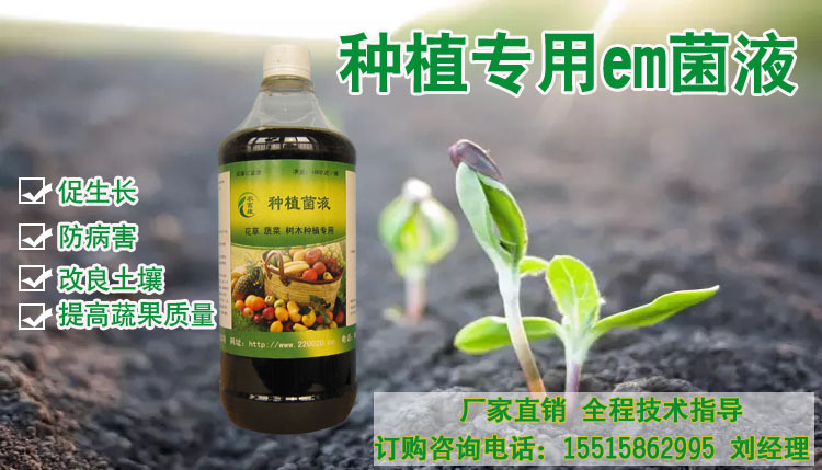 种植专用em菌