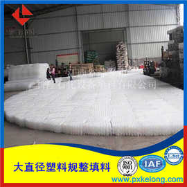 增强聚丙烯RPP塑料孔板波纹填料 价格及图片