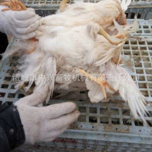 �\ݔ���u�\ȫ�������u�\���u���D���r��