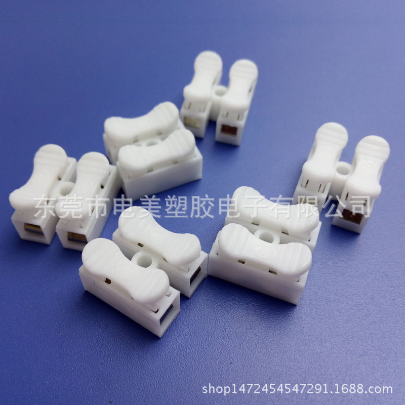 CH-2接线端子 (1)