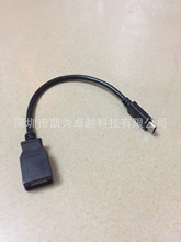 ���lUSB3.1Type-C�DUSBĸ OTG����������I�P���