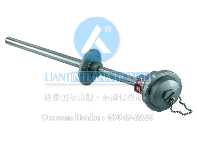 WRN2-330 装配式双支热电偶 中天仪表公司