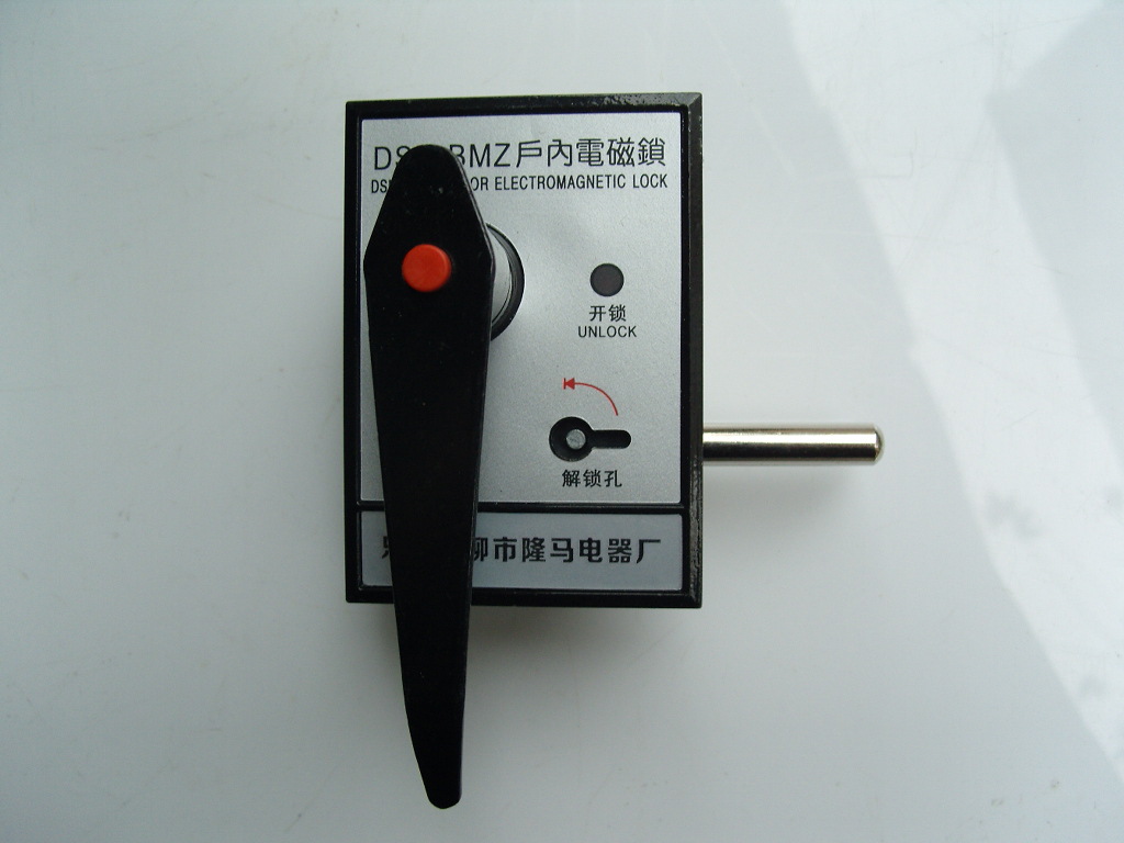 批发 左开右开 交直流通用户内高压柜门 电磁锁 DSN-BMY