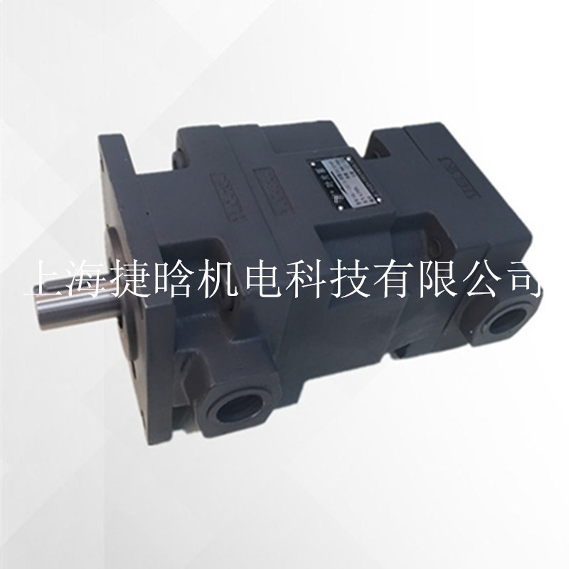 Hydraulic pump YB-D50/25油泵 中高压叶片泵